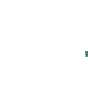 A Pachylet